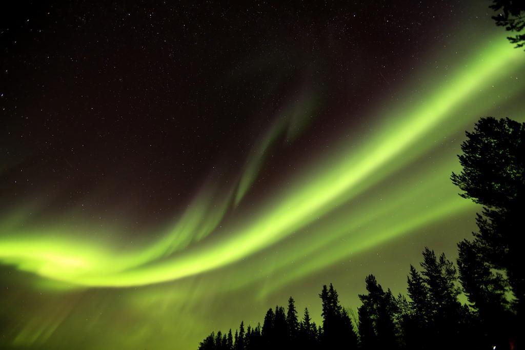 Lapland Northern Lights Hotel Ilveslinna Ranua Esterno foto