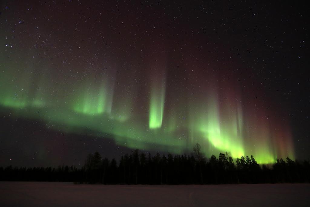 Lapland Northern Lights Hotel Ilveslinna Ranua Esterno foto