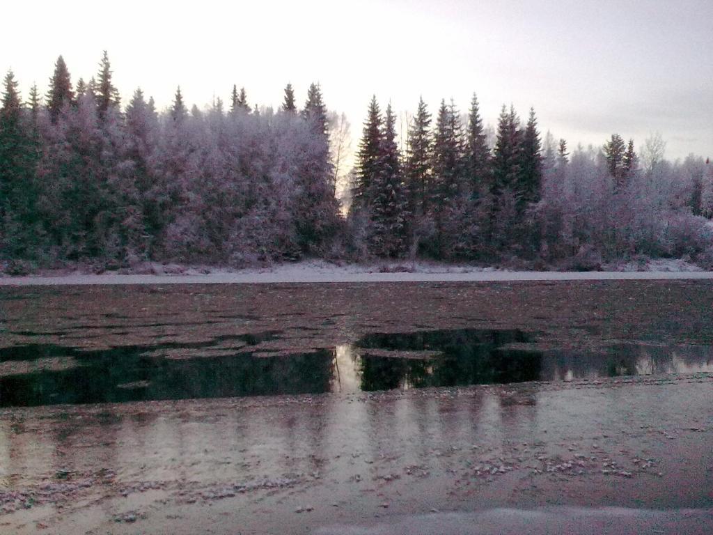 Lapland Northern Lights Hotel Ilveslinna Ranua Camera foto