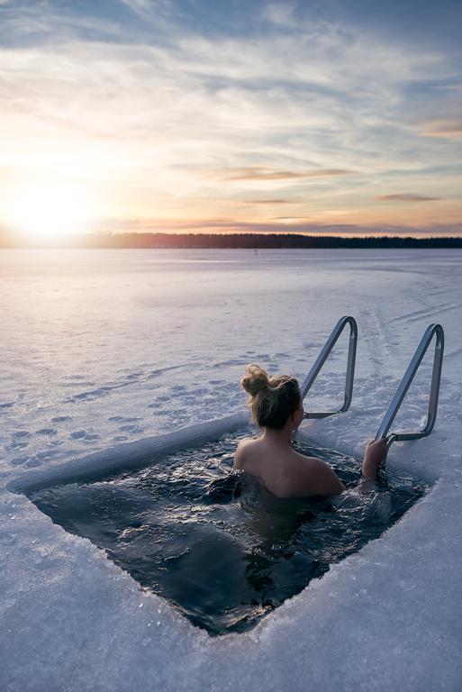 Lapland Northern Lights Hotel Ilveslinna Ranua Esterno foto