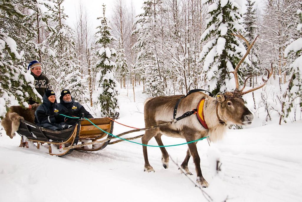 Lapland Northern Lights Hotel Ilveslinna Ranua Esterno foto