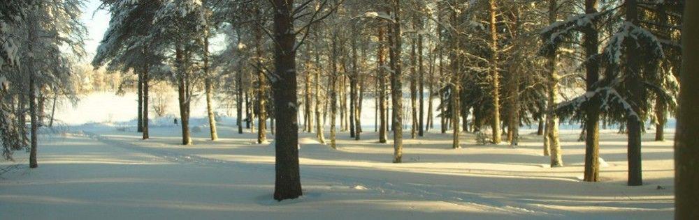 Lapland Northern Lights Hotel Ilveslinna Ranua Esterno foto