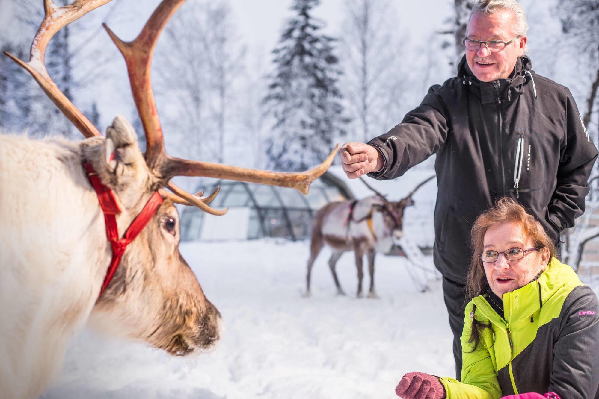 Lapland Northern Lights Hotel Ilveslinna Ranua Esterno foto