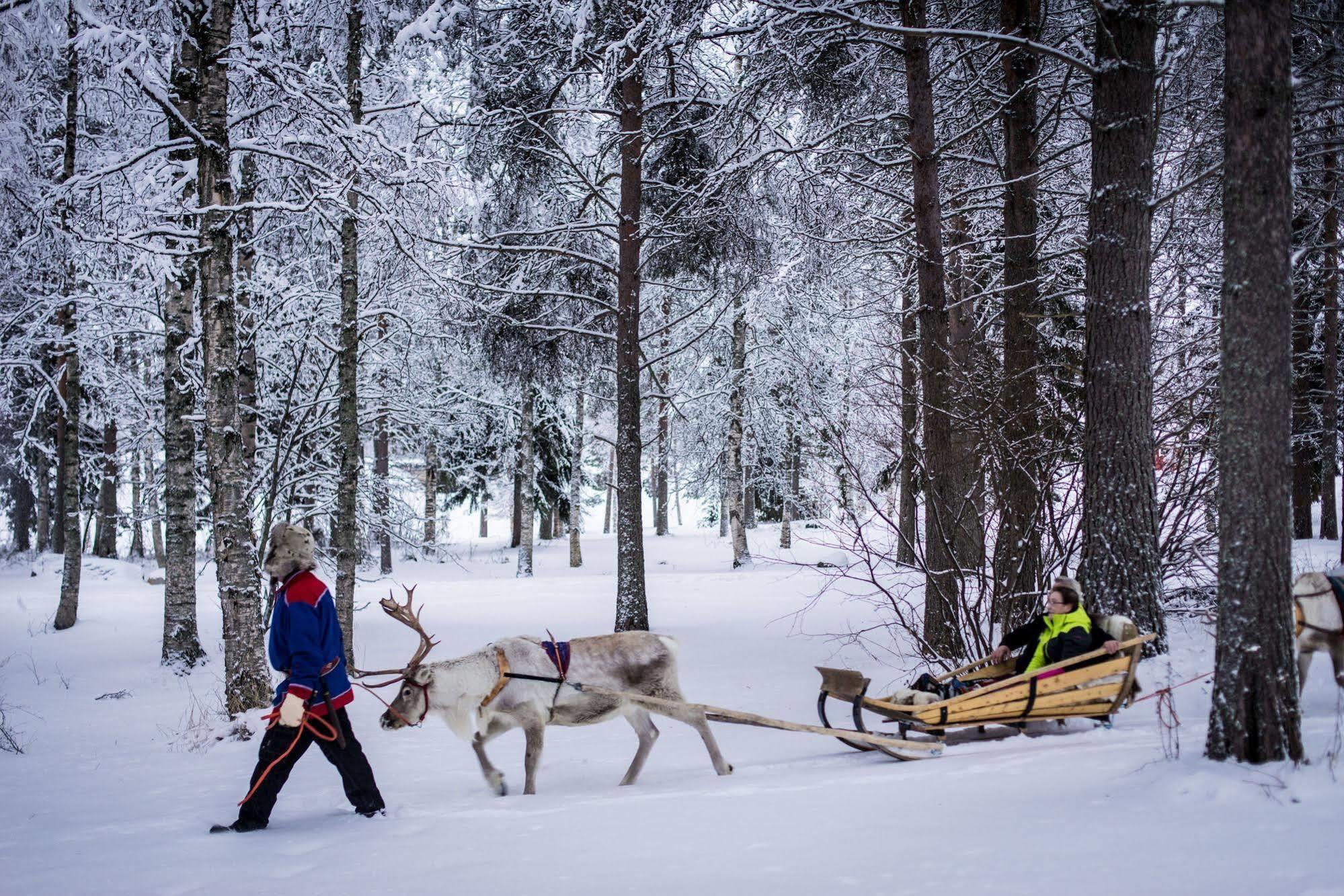 Lapland Northern Lights Hotel Ilveslinna Ranua Esterno foto