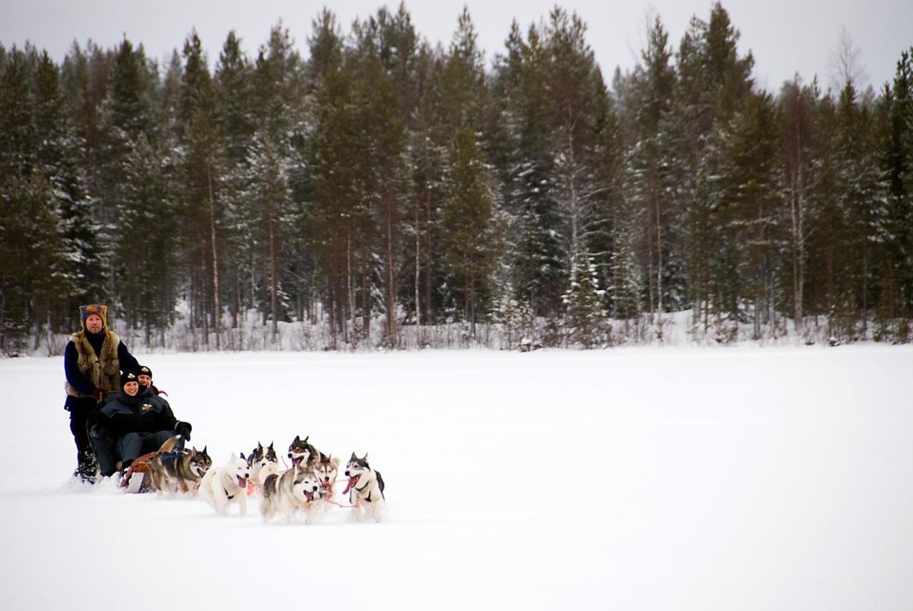 Lapland Northern Lights Hotel Ilveslinna Ranua Esterno foto
